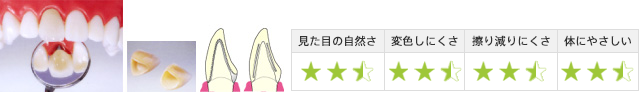 見た目の自然さ2.5・変色しにくさ2.5・擦り減りにくさ2.5・体にやさしい2.5