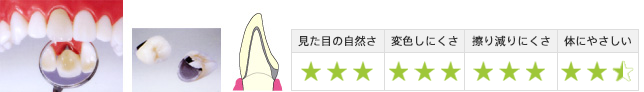 見た目の自然さ3・変色しにくさ3・擦り減りにくさ3・体にやさしい2.5