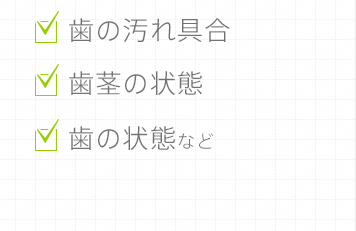 歯の汚れ具合・歯茎の状態・歯の状態など